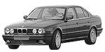 BMW E34 C1979 Fault Code